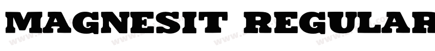 Magnesit Regular字体转换